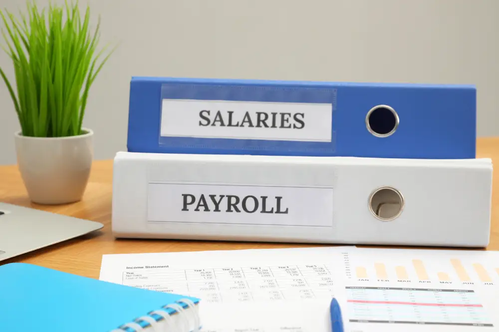 Payroll professional ensuring STP compliance and accurate employee payroll processing